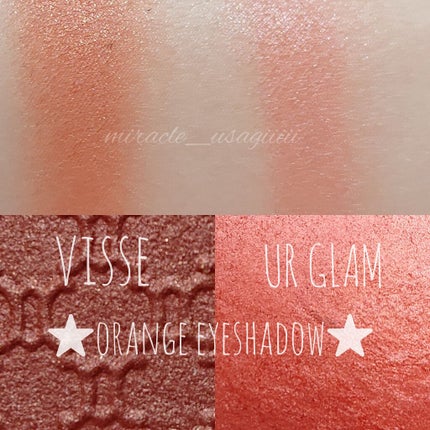 グロッシーリッチ アイズ N/Visée/アイシャドウパレットを使ったクチコミ(2枚目)