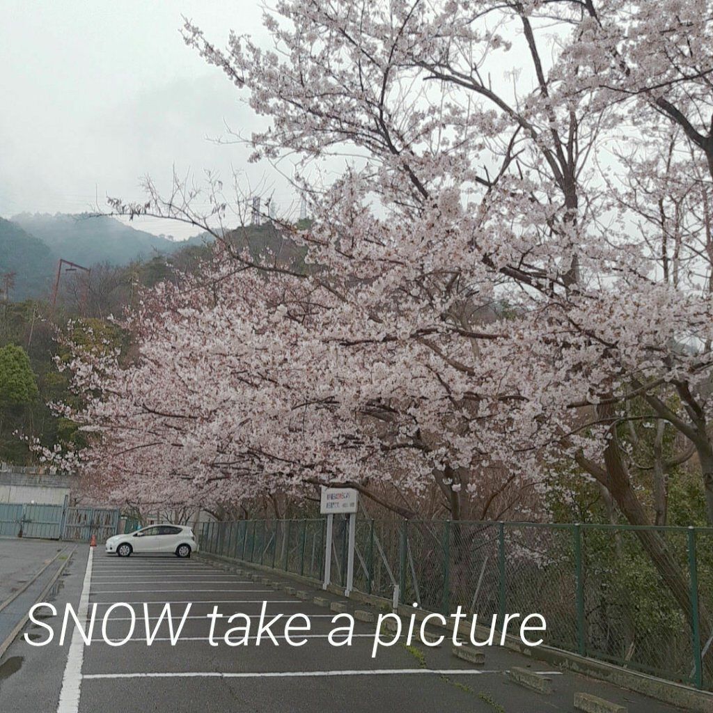 カラーチェンジアイブロウ/キャンメイク/眉マスカラを使ったクチコミ(7枚目)