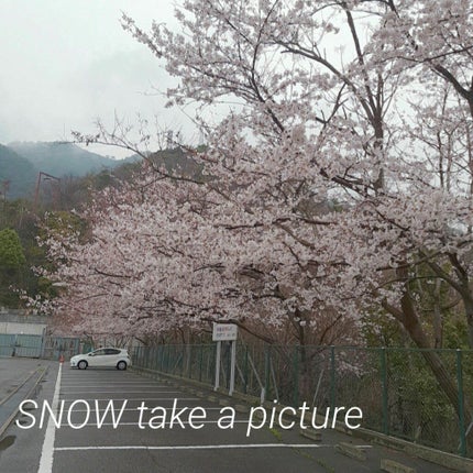 カラーチェンジアイブロウ/キャンメイク/眉マスカラを使ったクチコミ(7枚目)