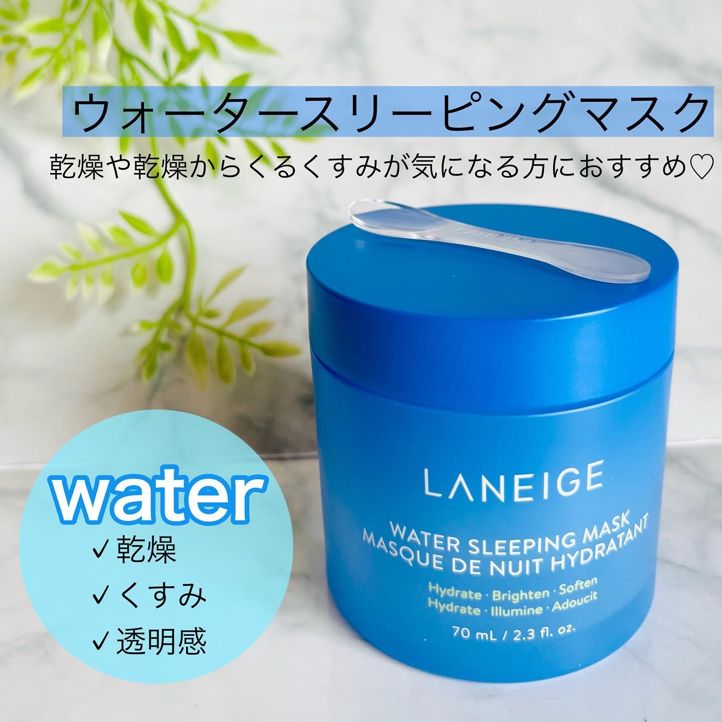 シカスリーピングマスク/LANEIGE/フェイスクリームを使ったクチコミ（2枚目）
