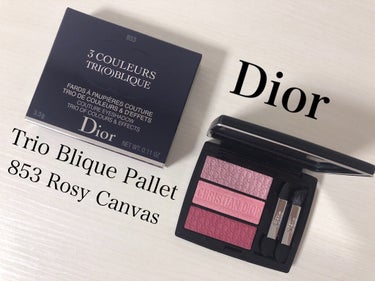 【旧】トリオ ブリック パレット/Dior/アイシャドウパレットを使ったクチコミ（1枚目）