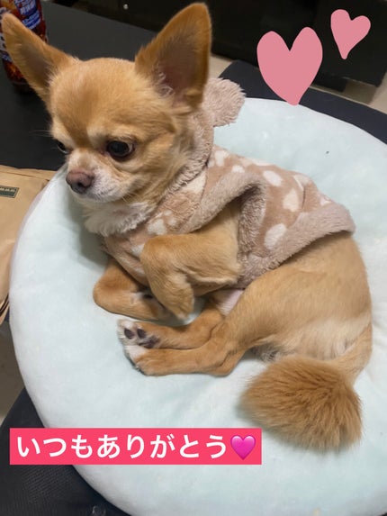 はちみつ洗顔石鹸/HACCI/洗顔石鹸を使ったクチコミ(9枚目)