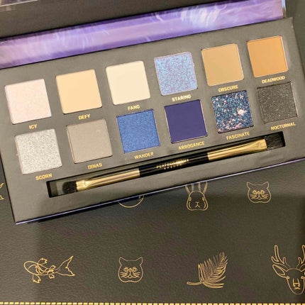 エクスプローラ12色 動物アイシャドウパレット/PERFECT DIARY/アイシャドウパレットを使ったクチコミ(5枚目)