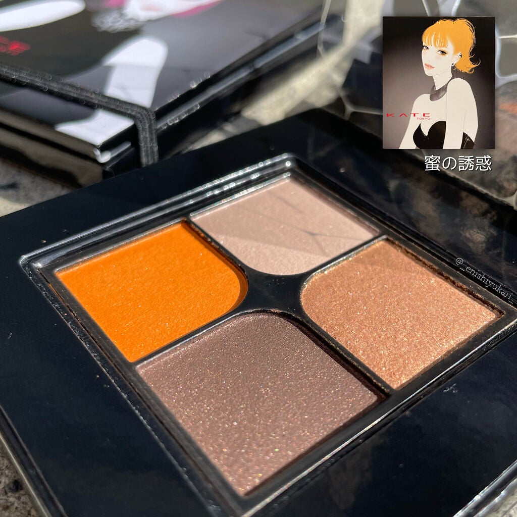 トラップアイパレット/KATE/アイシャドウパレットを使ったクチコミ(2枚目)