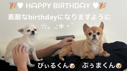 ネイル エナメル/ちふれ/マニキュアを使ったクチコミ(6枚目)