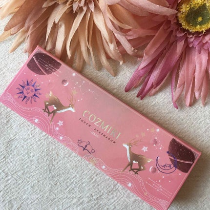 タッチアイシャドウパレット(マーズ)/COZMIKI/アイシャドウパレットを使ったクチコミ(1枚目)