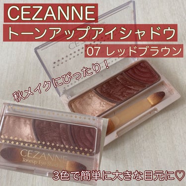 ‎♪ 𓈒𓂃CEZANNE꙳⋆

CEZANNE  トーンアップアイシャドウ
07  レッドブラウン

☆商品説明
3色で簡単に明るく大きな目元になるアイシャドウ✨

ひとえ・奥二重の方でも幅広く塗れる肌