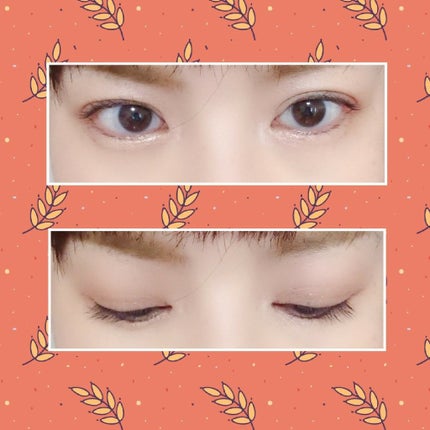 トーンアップアイシャドウ/CEZANNE/アイシャドウパレットを使ったクチコミ(2枚目)