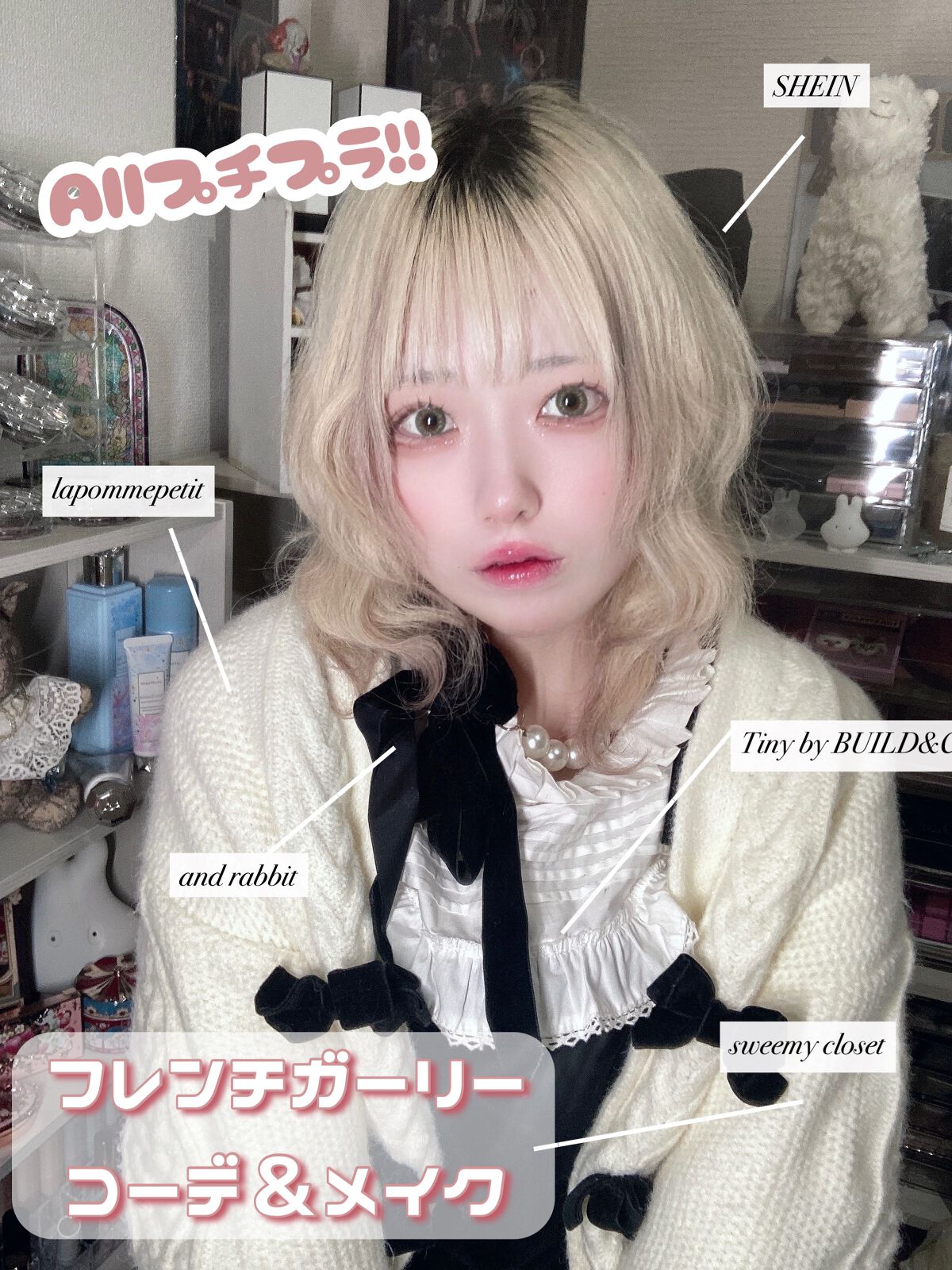 ブラーフィニシュシャドウパレット/Dinto/アイシャドウパレットを使ったクチコミ（1枚目）