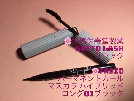 gatto lash ガットラッシュ/水橋保寿堂製薬/リキッドアイライナーを使ったクチコミ(5枚目)