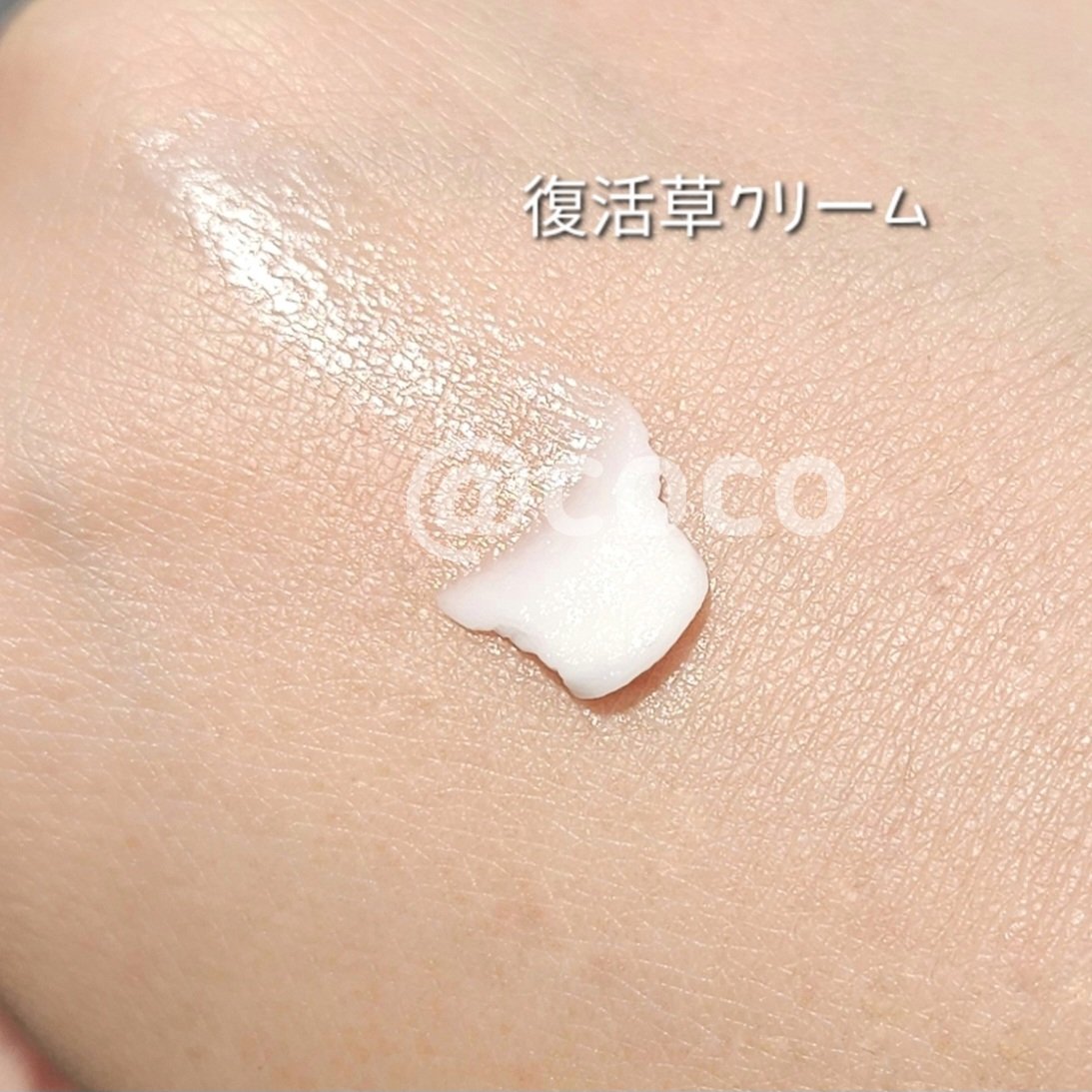 復活草クリーム ニュートリションチューブ/Abib /フェイスクリームを使ったクチコミ（2枚目）