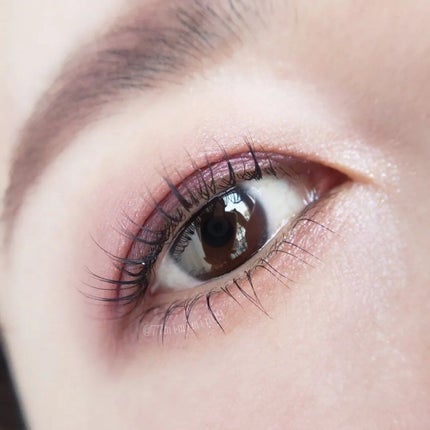 シグニチャー カラー アイズ/SUQQU/アイシャドウパレットを使ったクチコミ(3枚目)