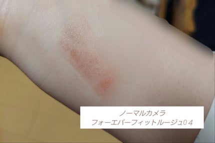 フォーエバー フィット ルージュ/leur charme/口紅を使ったクチコミ(2枚目)