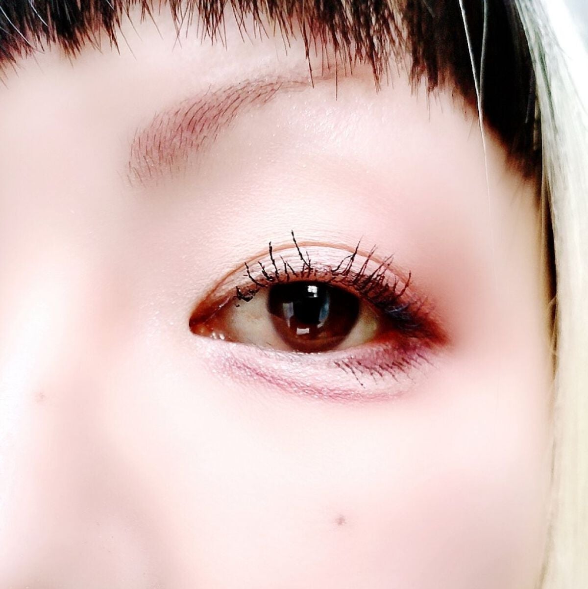 【旧】サンク クルール クチュール/Dior/アイシャドウパレットを使ったクチコミ(5枚目)