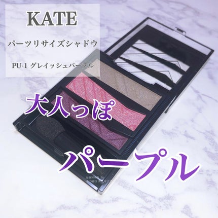 パーツリサイズシャドウ/KATE/アイシャドウパレットを使ったクチコミ(1枚目)