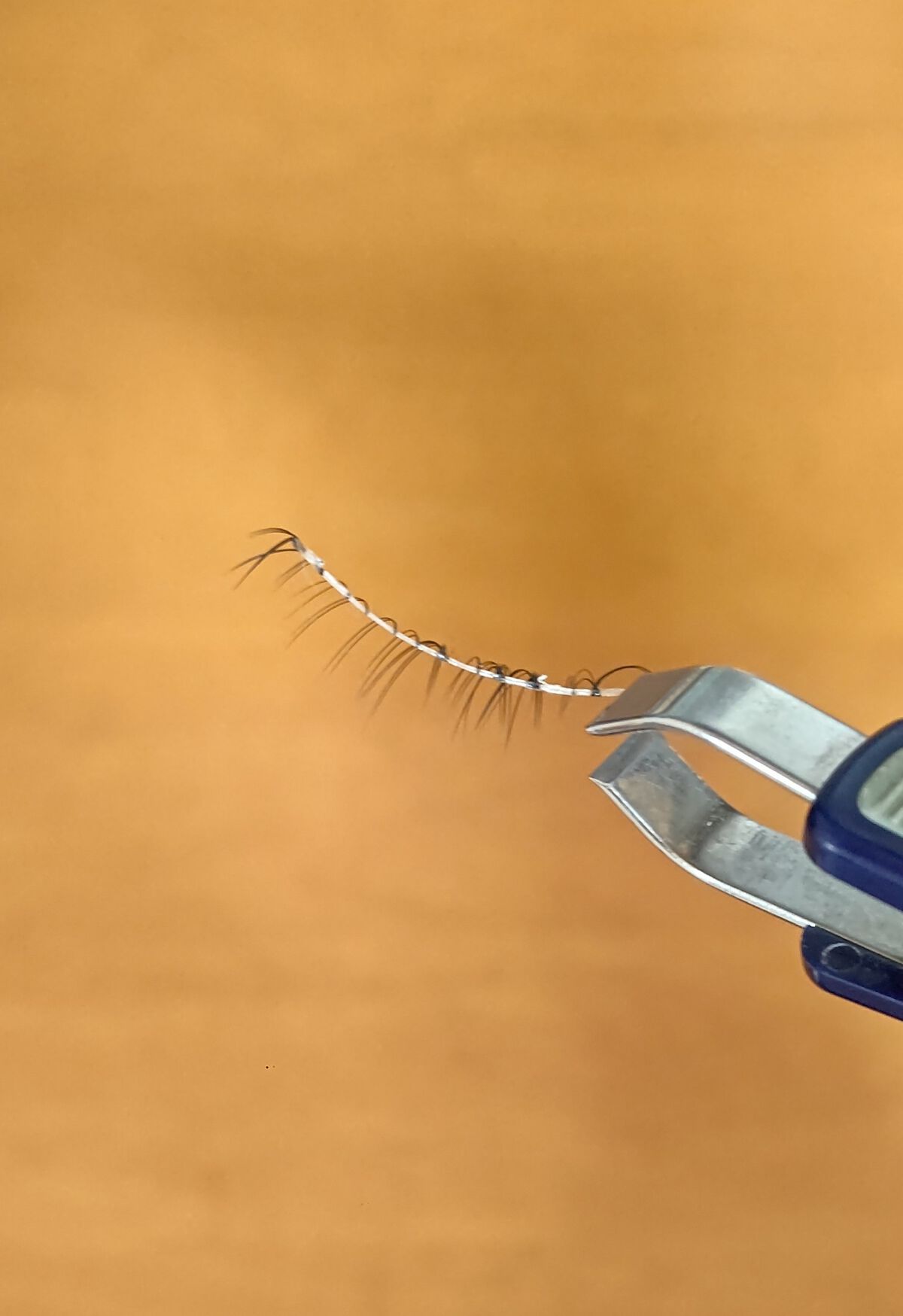 デコラティブアイラッシュ/Decorative Eyes/その他を使ったクチコミ（2枚目）