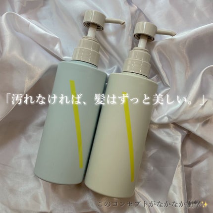 SQ アンチポリューションシャンプー/ShinkoQ/市販シャンプーを使ったクチコミ(2枚目)