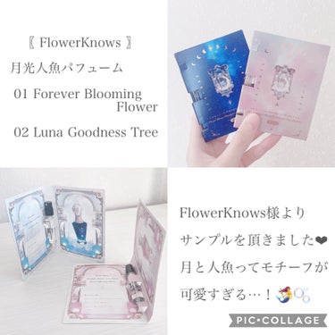 月光人魚パフューム/FlowerKnows/香水(レディース)を使ったクチコミ（2枚目）