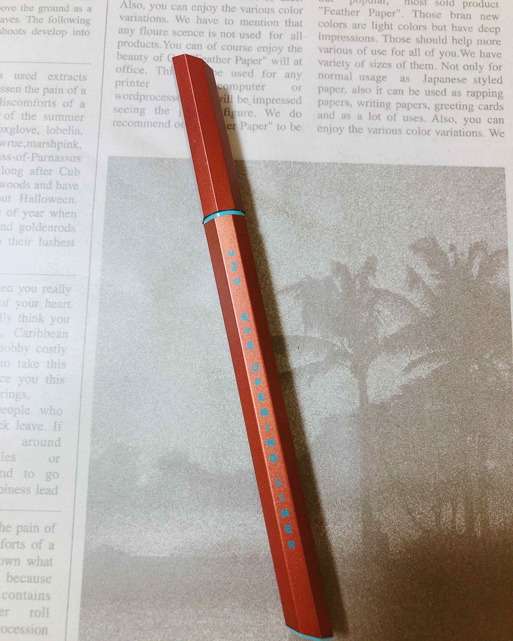 EYE OPENING LINER/UZU BY FLOWFUSHI/リキッドアイライナーを使ったクチコミ(3枚目)