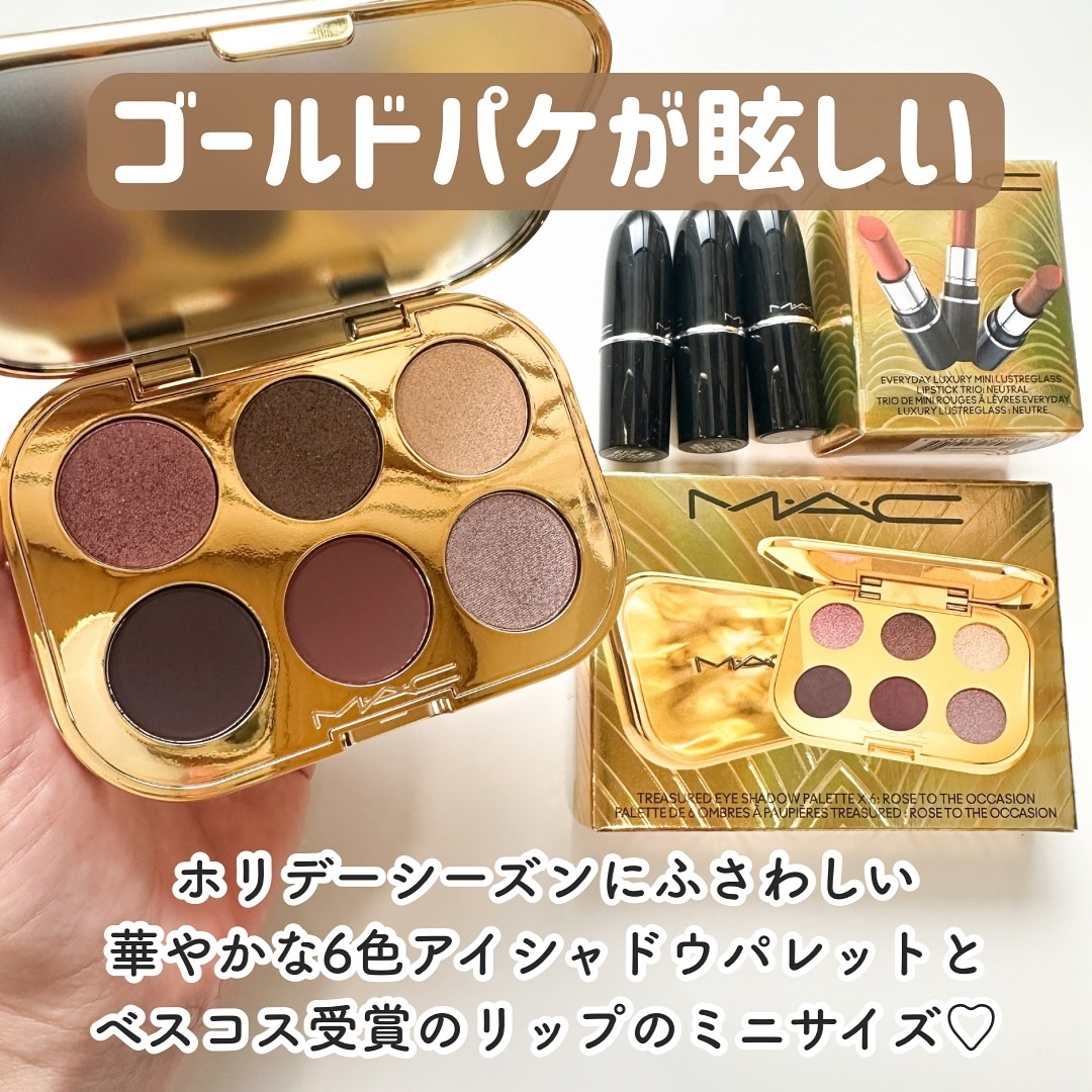 トレジャー アイシャドウ パレット ×6/M・A・C/アイシャドウパレットを使ったクチコミ（2枚目）