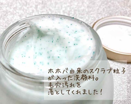 フェイスポリッシャー リフレッシング(ミント)/SABON/スクラブ・ゴマージュを使ったクチコミ(2枚目)