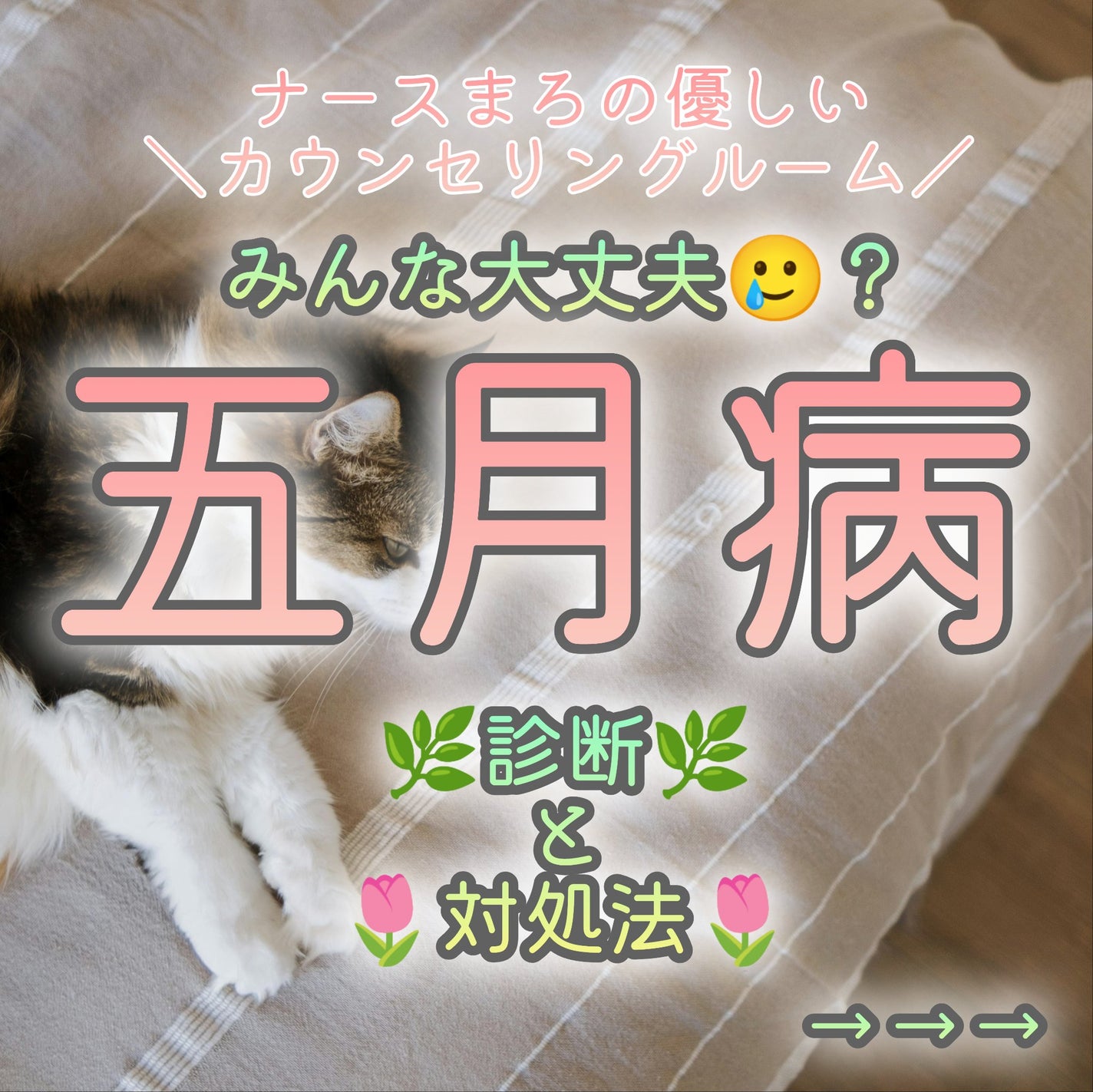 ðãŸã/ãã©ããð on LIPS ãðã¿ããªã§äºæç
ãã§ãã¯ïŒðã¡ãªã¿ã«ãŸãã¯æ¥ã«ã¹ãã¬ã¹ãæãã..ãïŒ2æç®ïŒ