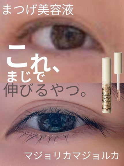 ラッシュジェリードロップ EX/MAJOLICA MAJORCA/まつげ美容液を使ったクチコミ(1枚目)