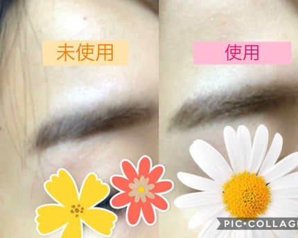 フィルム眉カラー/デジャヴュ/眉マスカラを使ったクチコミ(2枚目)