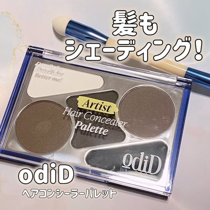 アーティストライン ヘアコンシーラーパレット/odiD/その他スタイリングを使ったクチコミ(1枚目)