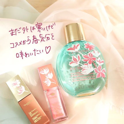 フィックス メイクアップ/CLARINS/ミスト状化粧水を使ったクチコミ(5枚目)