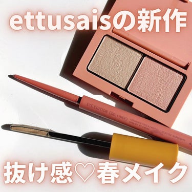 アイエディション(カラーパレット)/ettusais/アイシャドウパレットを使ったクチコミ（1枚目）