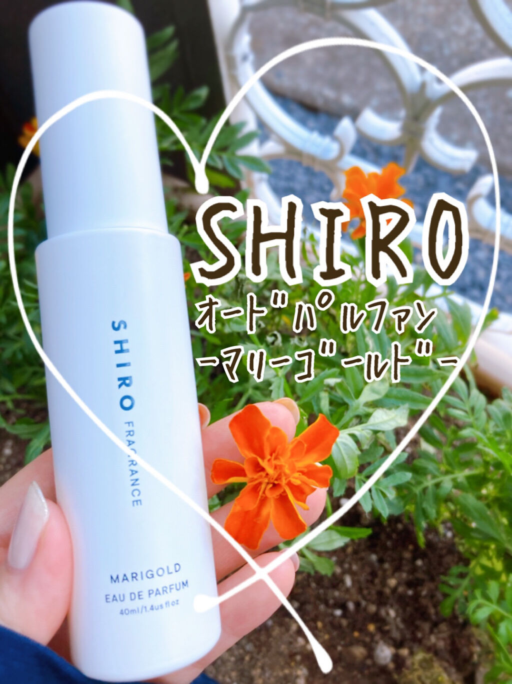 マリーゴールド オードパルファン/SHIRO/香水(レディース)を使ったクチコミ（1枚目）