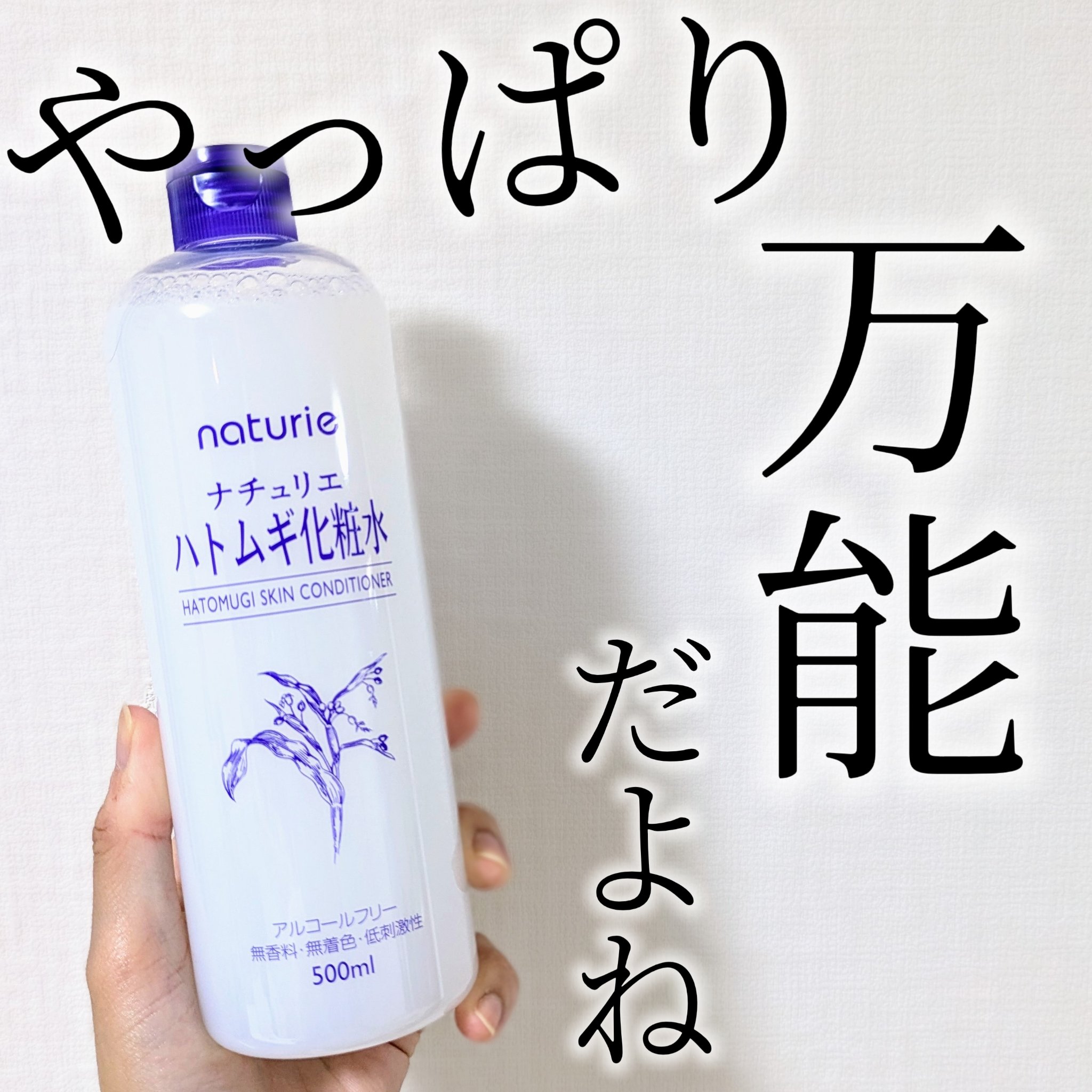 ハトムギ化粧水(ナチュリエ スキンコンディショナー R )/ナチュリエ/化粧水を使ったクチコミ（1枚目）