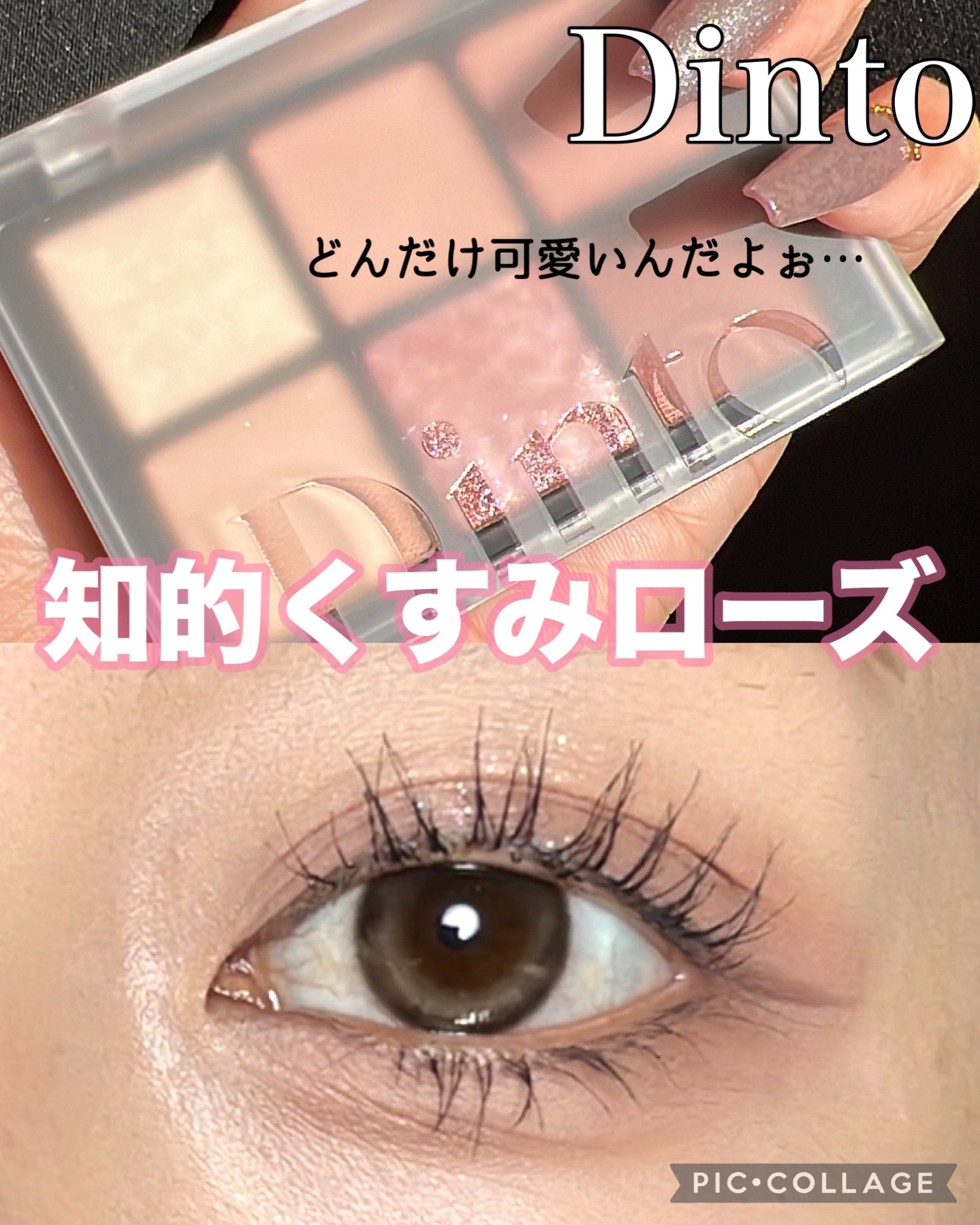 ブラーフィニシュシャドウパレット 705 メリー・シェリー/Dinto/アイシャドウパレットを使ったクチコミ（1枚目）