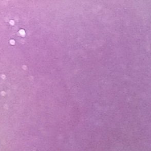 グロス ヴォリュプテ/YVES SAINT LAURENT BEAUTE/リップグロスを使ったクチコミ（3枚目）