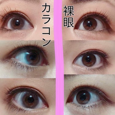 Angelcolor Bambi Series Vintage 1day/AngelColor/ワンデー（１DAY）カラコンを使ったクチコミ（3枚目）