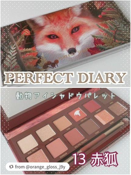 エクスプローラ12色 動物アイシャドウパレット/PERFECT DIARY/アイシャドウパレットを使ったクチコミ(1枚目)