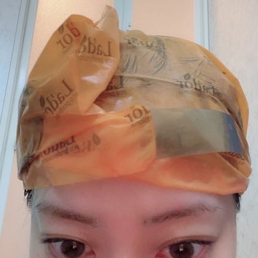 ACV VINEGAR HAIR CAP /La'dor/アウトバストリートメントを使ったクチコミ（3枚目）