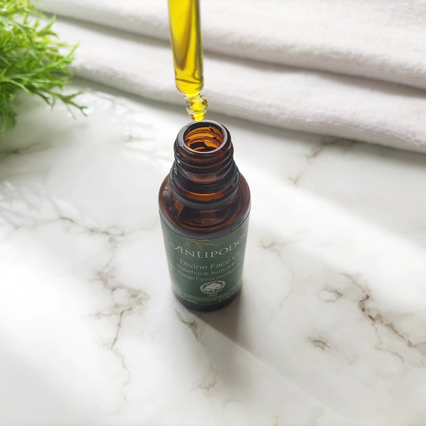 ディバイン アボカド&ローズヒップ フェイスオイル/Antipodes/フェイスオイルを使ったクチコミ(4枚目)