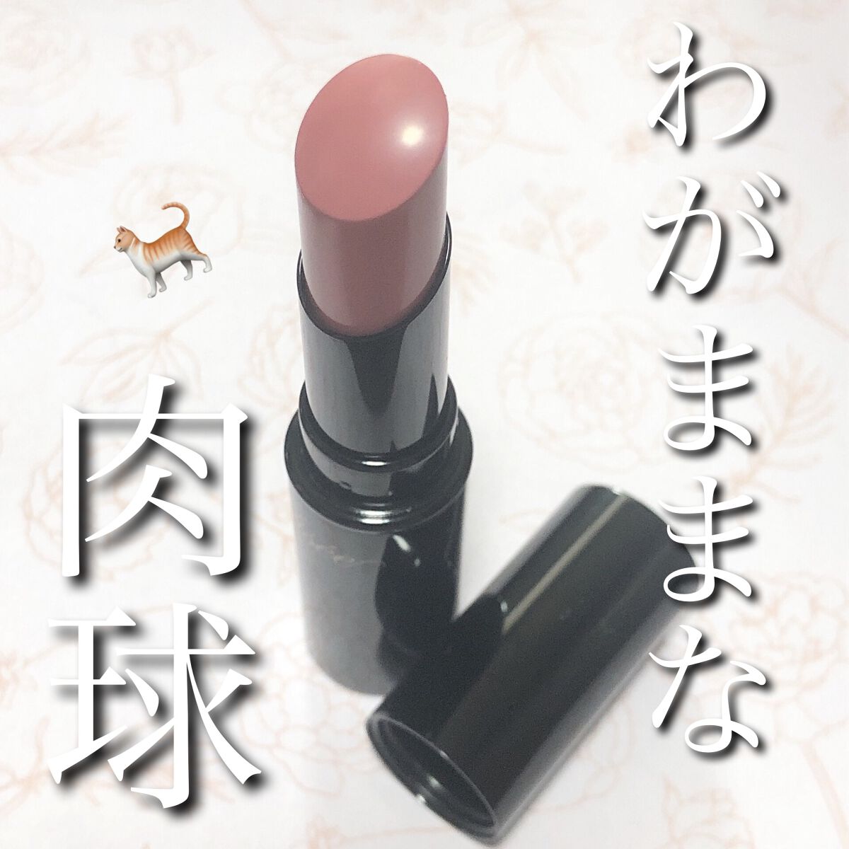 ネンマクフェイク ルージュ/Visée/口紅を使ったクチコミ(1枚目)