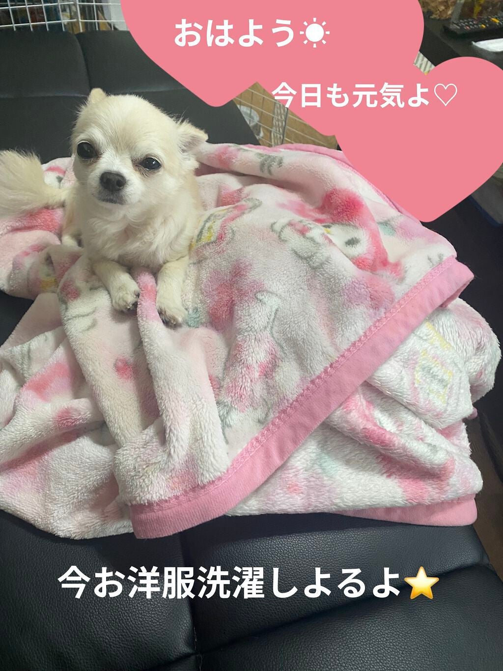 プレステージ ル ゴマージュ/Dior/スクラブ・ゴマージュを使ったクチコミ(5枚目)