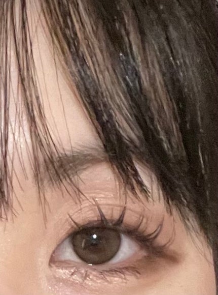 エバーカラーワンデー ナチュラル/エバーカラー/ワンデー(1DAY)カラコンを使ったクチコミ(2枚目)