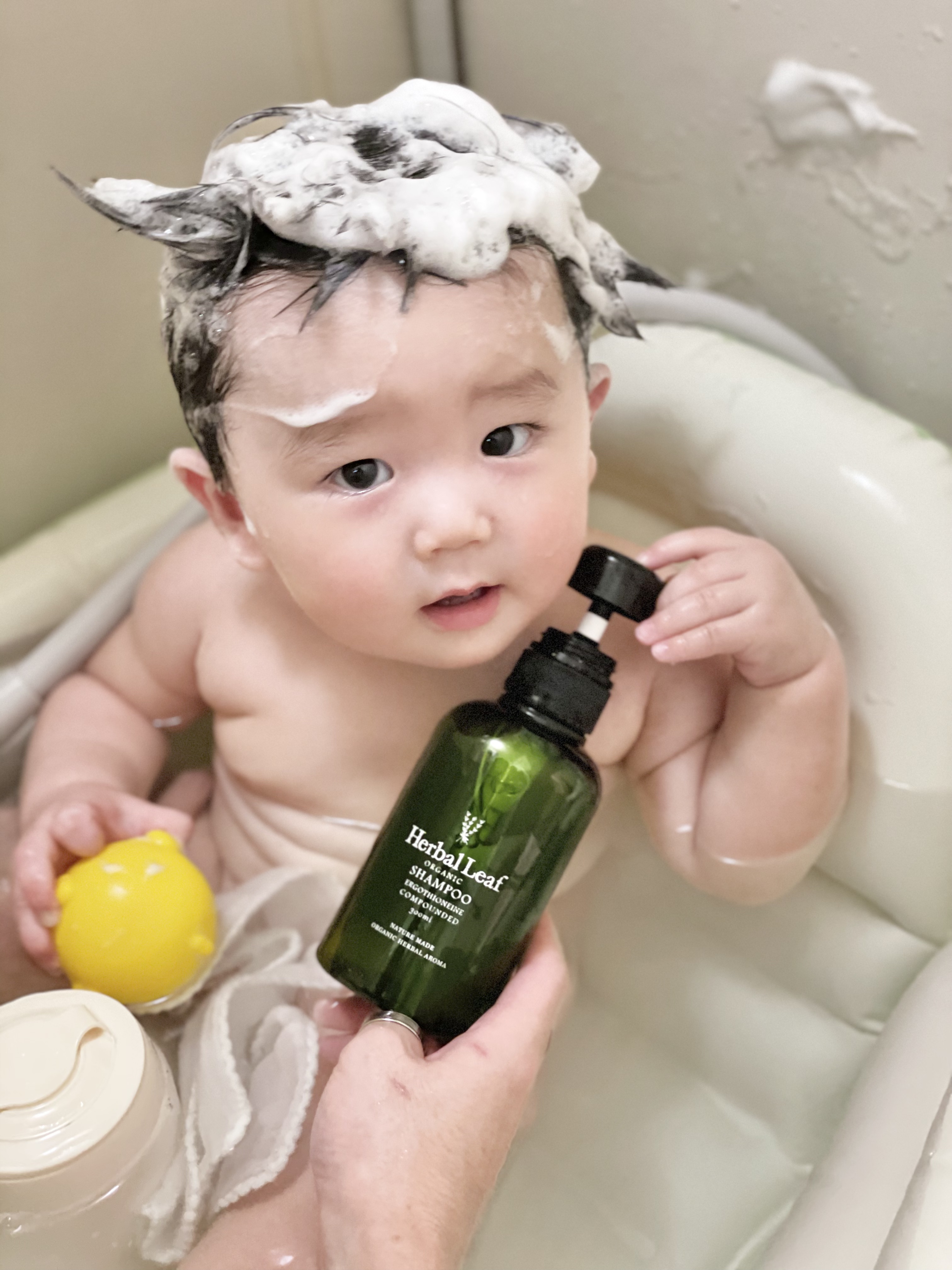 オーガニックシャンプー／コンディショナー/ハーバルリーフ/市販シャンプーを使ったクチコミ（1枚目）