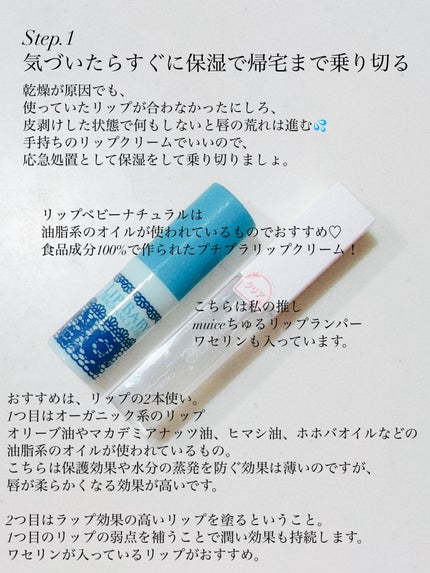 anelia natural PURUPURUリッププランプセラムのクチコミ「スペシャルケアでふわふわリップ
リップクリーム2本使いはかずのすけさんのYouTubeを見.....」(3枚目)