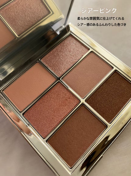 アイ ヴィーガン シアーパレット/AMUSE/アイシャドウパレットを使ったクチコミ(2枚目)