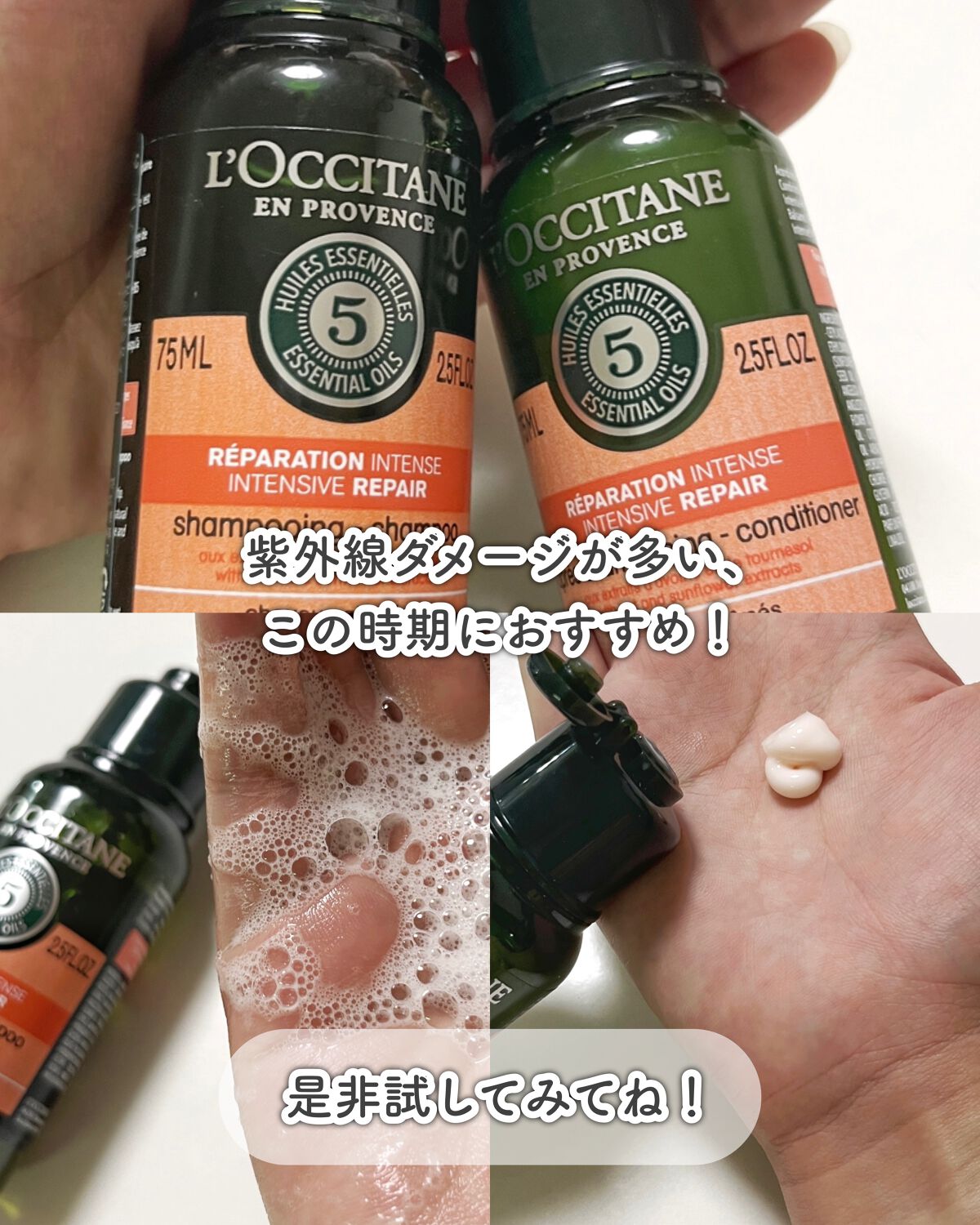 ファイブハーブスリペアリングシャンプー/コンディショナー/L'OCCITANE/シャンプー・コンディショナーを使ったクチコミ(4枚目)