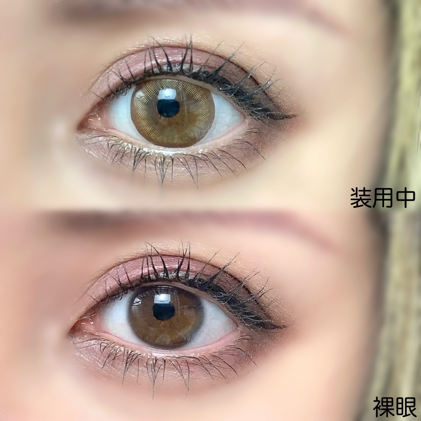 キエトワンデーカラー/Qieto/カラーコンタクトレンズを使ったクチコミ（2枚目）