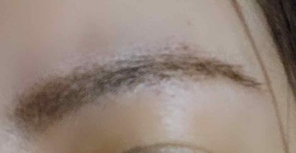 プロフェッショナル アイブロウ ペンシル&パウダー/リンメル ロンドン/パウダーアイブロウを使ったクチコミ(3枚目)