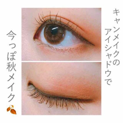 ラブ・ライナー リキッドアイライナーR3/ラブ・ライナー/リキッドアイライナーを使ったクチコミ(1枚目)