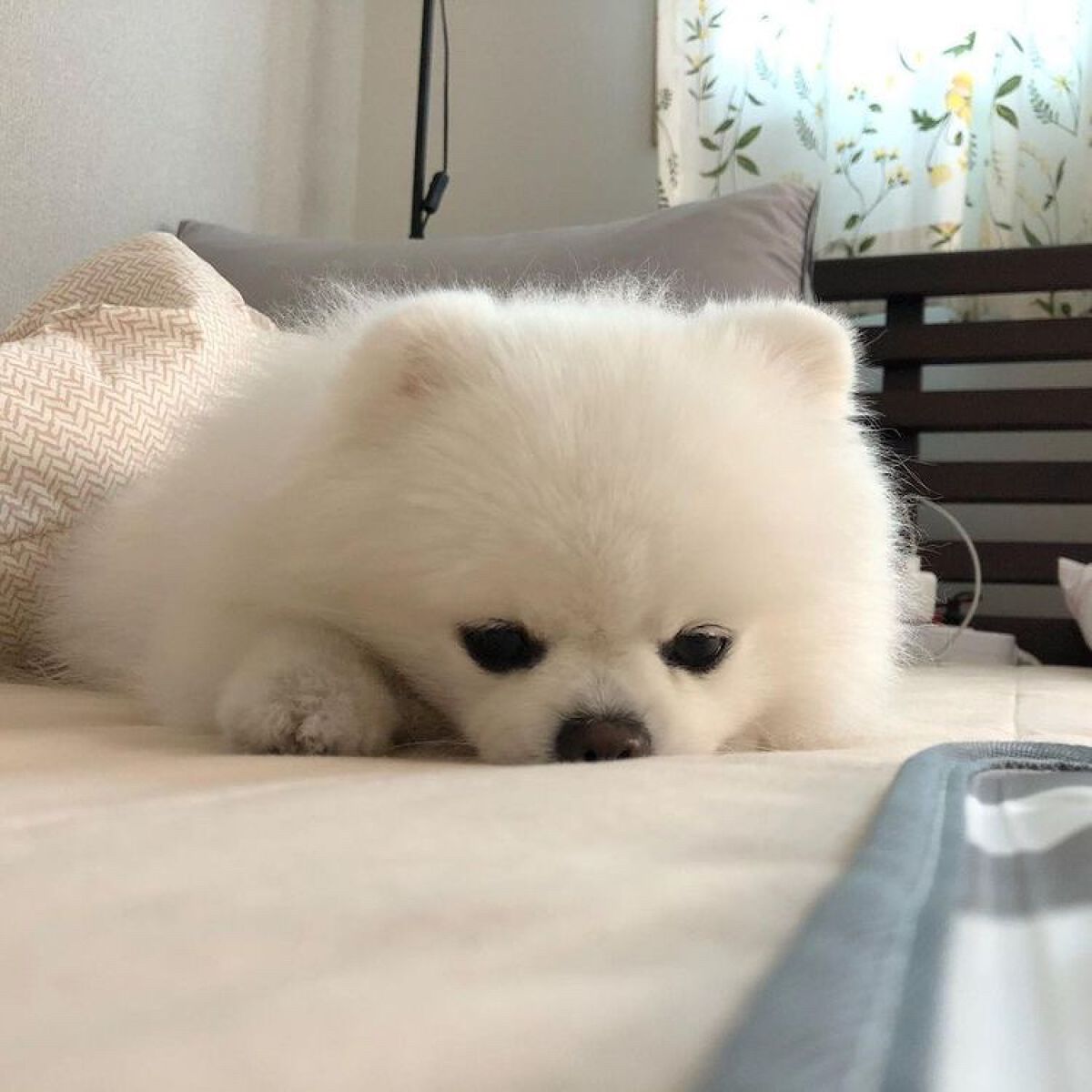 マイルド&モイスチャーアロエジェル/ネイチャーリパブリック/ボディローションを使ったクチコミ(1枚目)